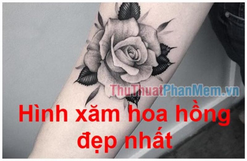 Hình xăm hoa hồng realistic trên bắp tay, thể hiện vẻ đẹp chân thực và sống động
